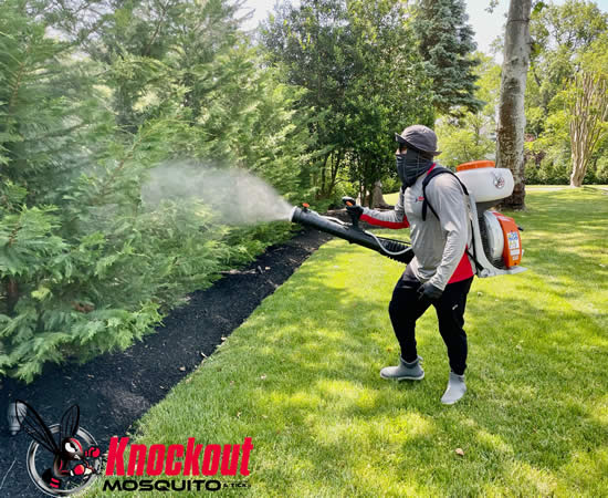 Colts Neck Mosquito Management Control Services