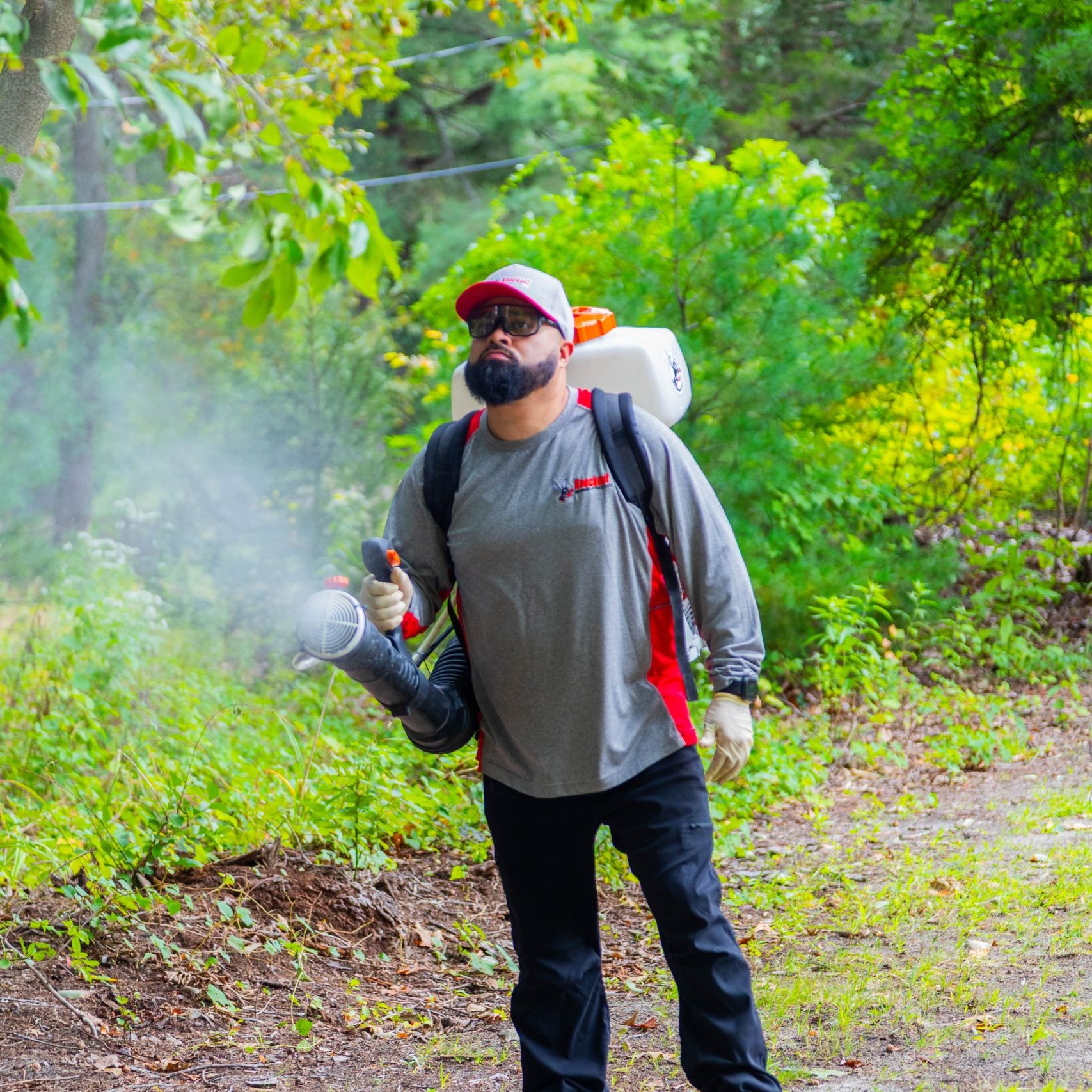 Mosquito Control