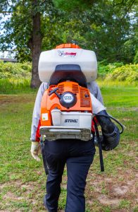 mosquito spraying